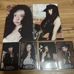 2026年最新】ウィンター シーグリの人気アイテム - メルカリ