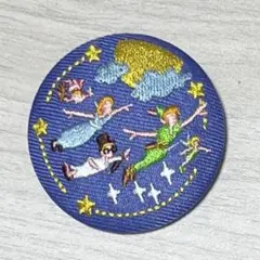 ディズニー 刺繍缶バッジ ぴーた