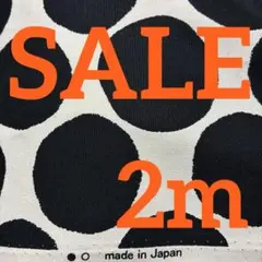 オックス生地　ドット柄