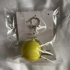 新テニスの王子様　テニフェス2025 特典　ボイスキーホルダー