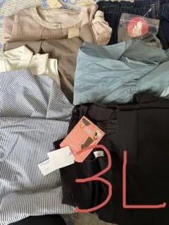 夏物レディース服3Lまとめ