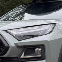 三菱 デリカD5 純正 HID/ASSYバラスレベライザー付 ヘッドライト左右 三菱 デリカD5 純正 HID/ASSYバラスレベライザー付 ヘッドライト左右