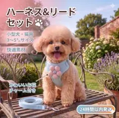 ◇小型犬・猫用 ハーネス＆リードセット Mサイズ ブルー0608のサムネイル