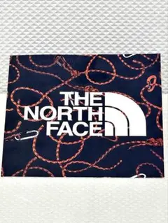 ノースフェイス ステッカー シール THE NORTH FACE ロゴ