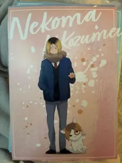 ハイキュー ポストカード 孤爪研磨