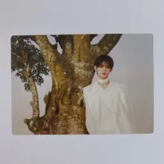 TXT 公式 ACT PROMISE フォトカード ヨンジュン 7