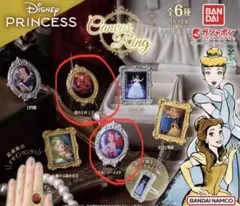 Disney Princess Canvas Ring