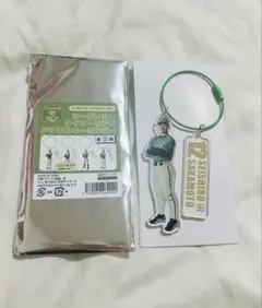 阪神タイガース シークレットワイヤーリングアクリルキーホルダー 坂本誠志郎のサムネイル