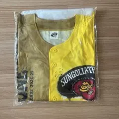 Item thumbnail for item 413c29b4-a8d3-417c-88a0-87243b2085ac