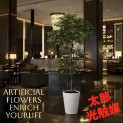 光触媒　人工観葉植物　フェイクグリーン　ベンジャミン150FSTのサムネイル