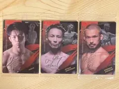 RIZINウエハース25 カード3枚セット