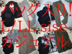 13-6406 レディース服まとめ売り カジュアル　49着・バッグ1点　L/LL