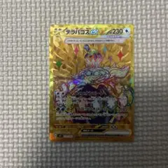 テラパゴスex