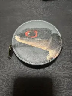 アカメカブトトカゲ　コインケース