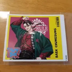 パラライ　白 忠成　AMPRULE　BAEK CHUNGSUNG