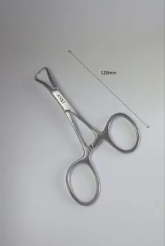 Item thumbnail for item 91e47884-fbd7-4ff4-a458-ae1d4147ec90