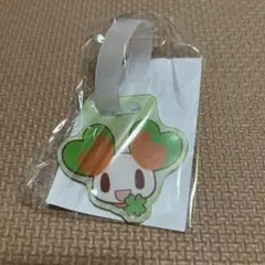 【新品未使用】ララピー アクリルタグ