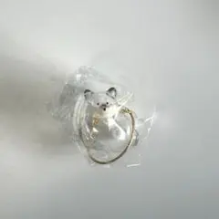 うちの子のけだまだま 黒柴