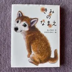 きみのなまえ あんずゆき かなざわまゆこ 絵本のサムネイル