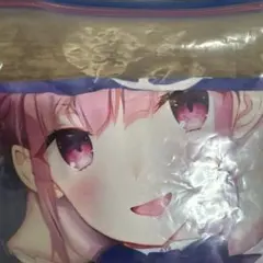 あまとう　よう太　抱き枕カバー　あくたん