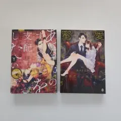 あなたのすべてを支配したい 御曹司の淫靡な独占欲　他１冊