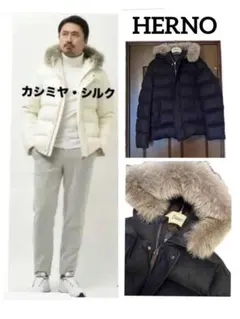 HERNO ヘルノ 42 グレー カシミヤシルクダウンJK ロロ・ピアーナ中古品