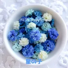 こまる様 リクエスト 2点 まとめ商品