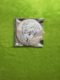 WIND BREAKER ウィンブレ RED 東京タワー 缶バッジ 兎耳山