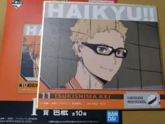 一番くじ 劇場版ハイキュー!!ゴミ捨て場の決戦2 F賞 月島蛍