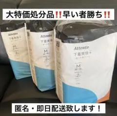 Item thumbnail for item 17c328c0-640f-40d2-9bf5-9ea9b2f76bbb