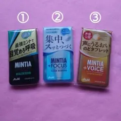 MINTIA 3種類のサムネイル