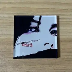 Acid Black Cherry アクリルマグネット Re:birth