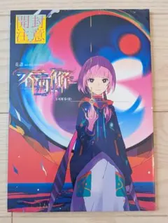 V.W.P ライブパンフレット　まとめ売り V.W.P ライブパンフレット まとめ売り V.W.P ライブパンフレット