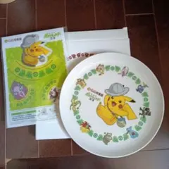 ポケモン CoCo壱番屋 ココイチキャンペーン ブランケット 当選品 ピカチュウ CoCo壱番屋がポケモンとコラボ、コースター付きココアやプレート