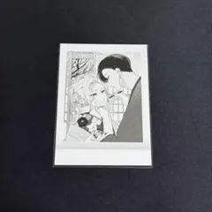 踏んだり蹴ったり愛したり ぱしゃこれ