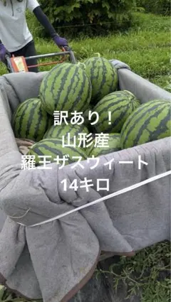 訳あり！山形産 羅王ザスウィート 14キロのサムネイル
