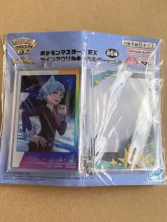 5個♥ダイゴ♥ポケモンマスターズ EX ツインアクリルキーホルダーvol.2 ダイゴ ポケモンマスターズ EX ツインアクリルキーホルダー vol.2