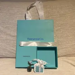 TIFFANY&Co. 限定 ショッパー 空箱 チャーム付のサムネイル