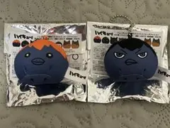 ハイキュー‼︎ トレーディング動物ミニビーズクッション ヒナガラス、カゲガラス