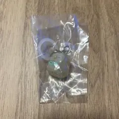 ポケモン　めじるしアクセサリー　モクロー