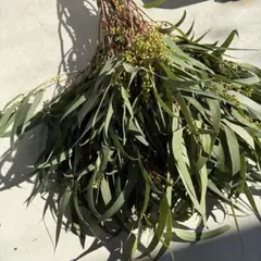 aya様 リクエスト 2点 まとめ商品