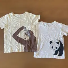 無印良品　オランウータン・パンダプリントTシャツ 100 120 まとめ売りのサムネイル