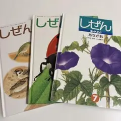 しぜん　キンダーブック　３冊