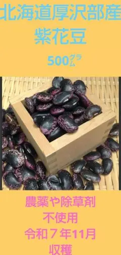 農家直送‼️北海道厚沢部産 紫花豆500㌘ 農薬や除草剤一切不使用