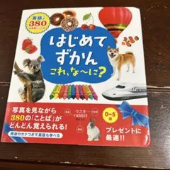はじめてずかん　これ、なーに？650