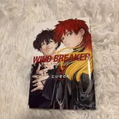 WIND BREAKER