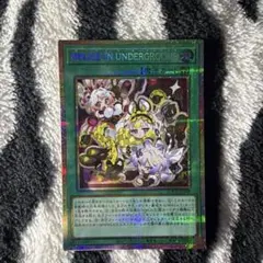 遊戯王 M∀LICE IN UNDERGROUND 中国語 アジア版 プリズマ - メルカリ