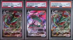 MレックウザEX レックウザソウル PSA10 連番 - メルカリ