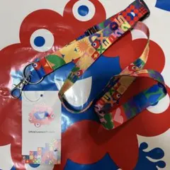 ポーランド 花図鑑 万博 非売品 大阪万博 ポーランドパビリオン 非売品 花図鑑 ビジュアルブック