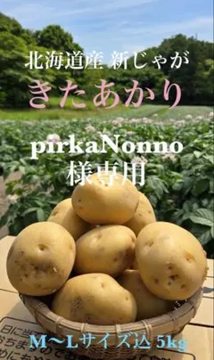 pirkaNonno様専用 新じゃが きたあかり（M〜Lサイズ込）5kgのサムネイル
